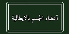 أسماء أعضاء الجسم بالايطالية مترجمة بالعربية