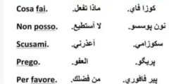 تطبيق 3000 كلمة لتعلم اللغة الايطالية مع الترجمة بالمجان